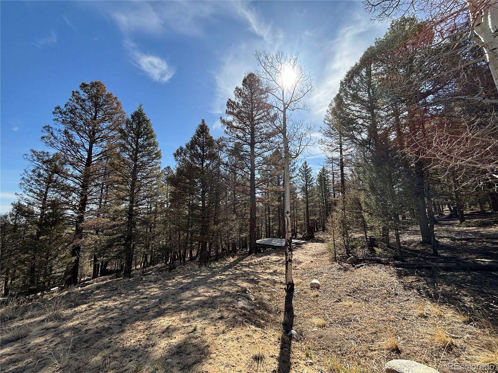 3.25 Acres of Residential Land for Sale in Hartsel, Colorado
