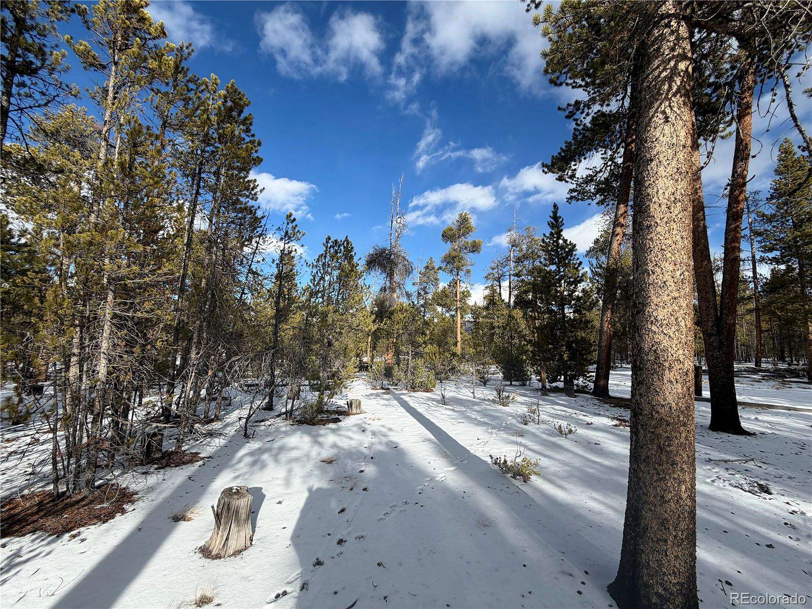 0.31 Acres of Land for Sale in Leadville, Colorado