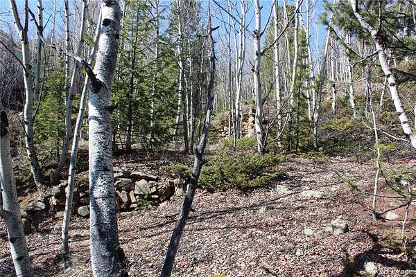 0.1 Acres of Residential Land for Sale in Central City, Colorado