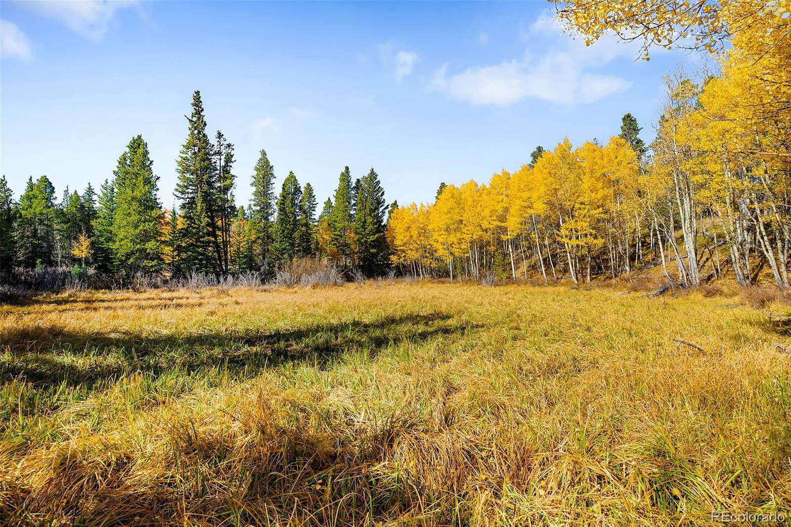 3.17 Acres of Land for Sale in Fairplay, Colorado