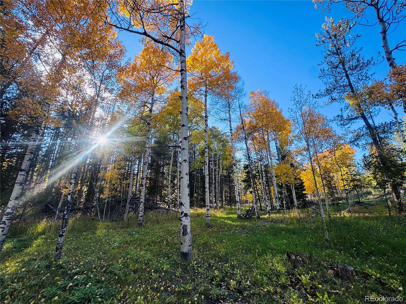 1.6 Acres of Land for Sale in Conifer, Colorado