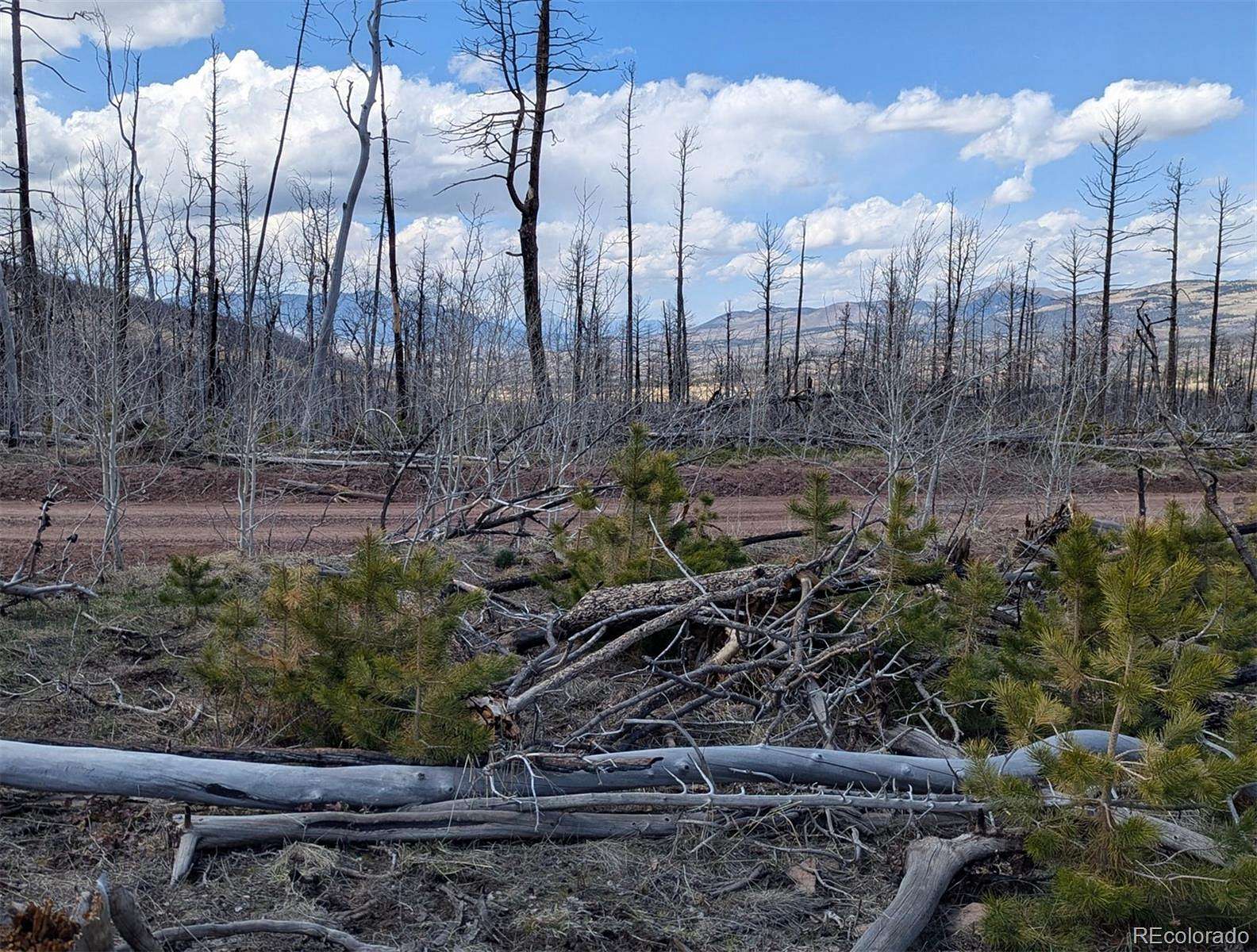 1.16 Acres of Residential Land for Sale in Fort Garland, Colorado