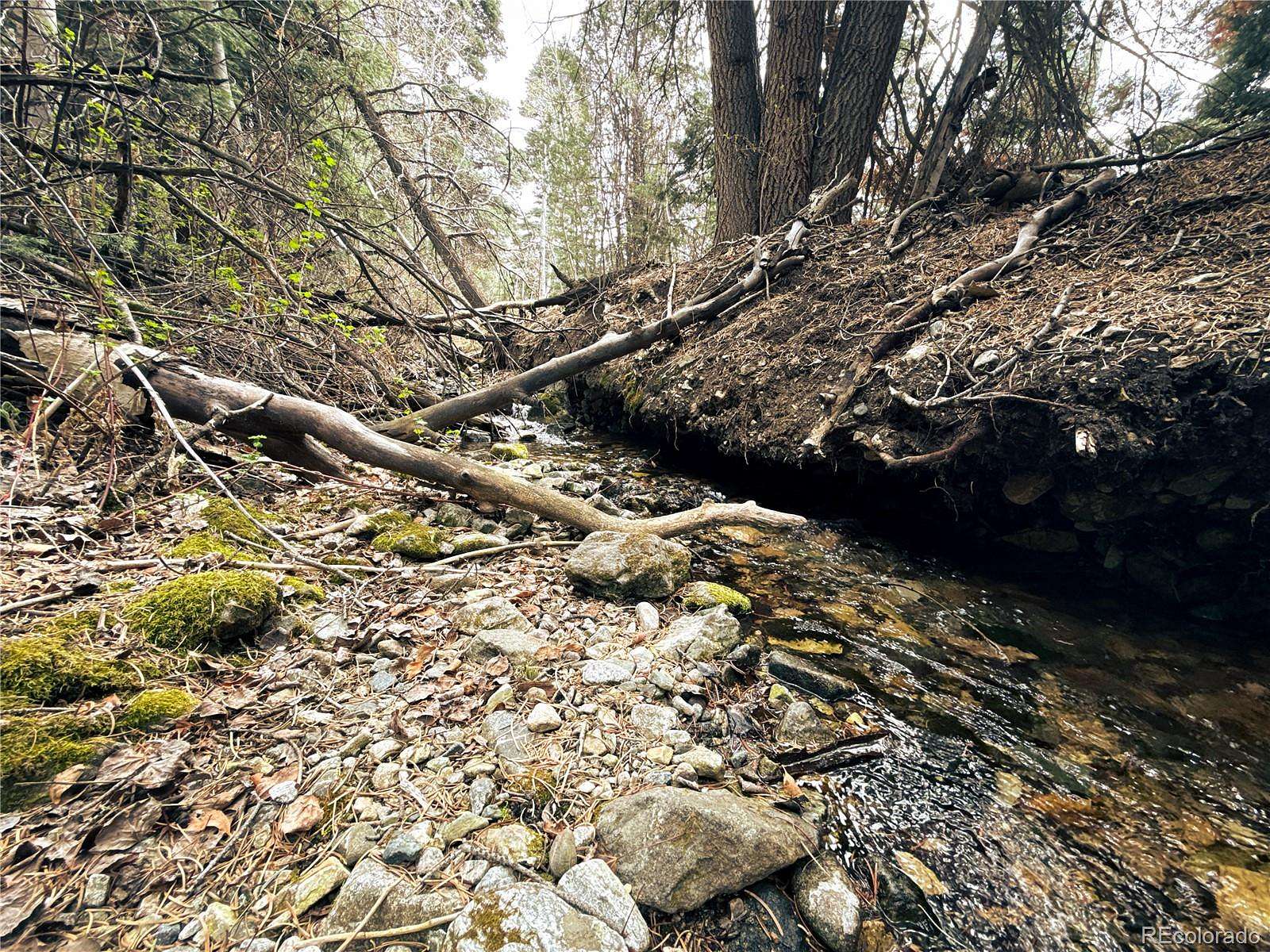 11.1 Acres of Recreational Land for Sale in Mosca, Colorado