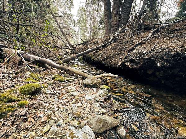 11.1 Acres of Recreational Land for Sale in Mosca, Colorado