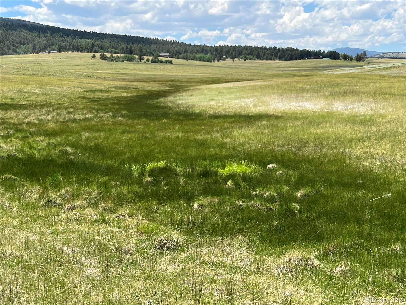 36 Acres of Agricultural Land for Sale in Hartsel, Colorado