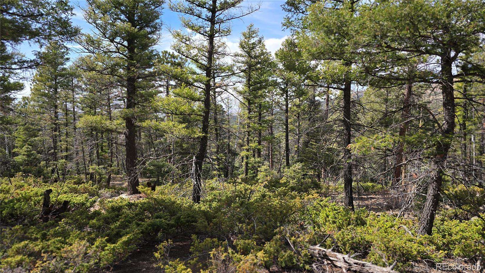 5.46 Acres of Residential Land for Sale in San Luis, Colorado