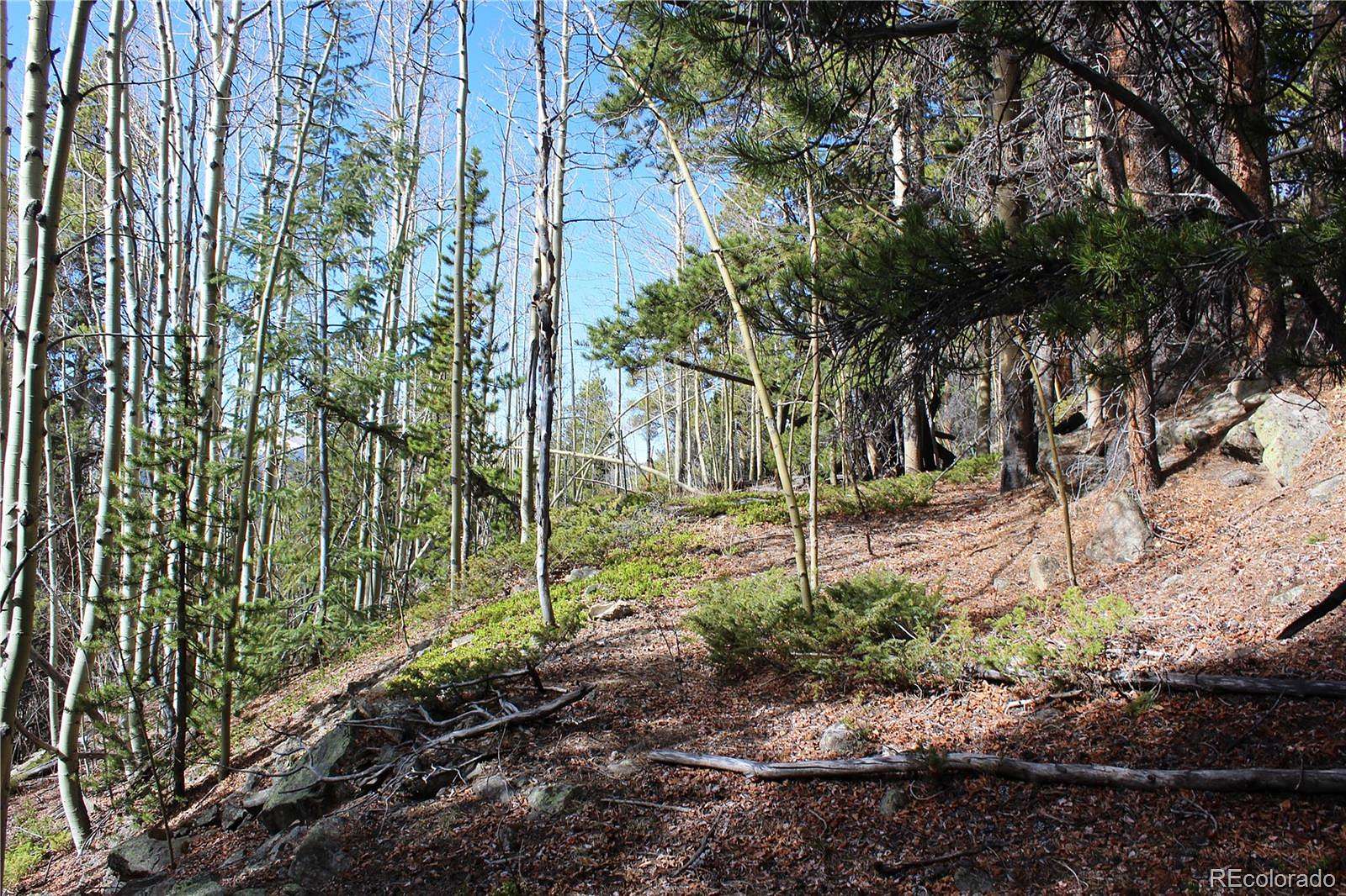 5.14 Acres of Land for Sale in Idaho Springs, Colorado