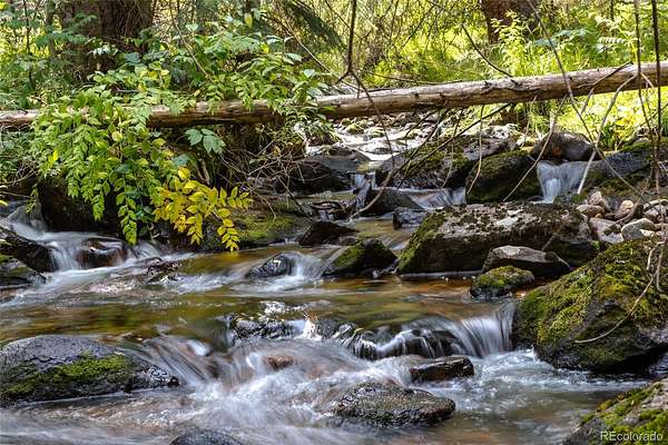 9.63 Acres of Residential Land for Sale in Fraser, Colorado