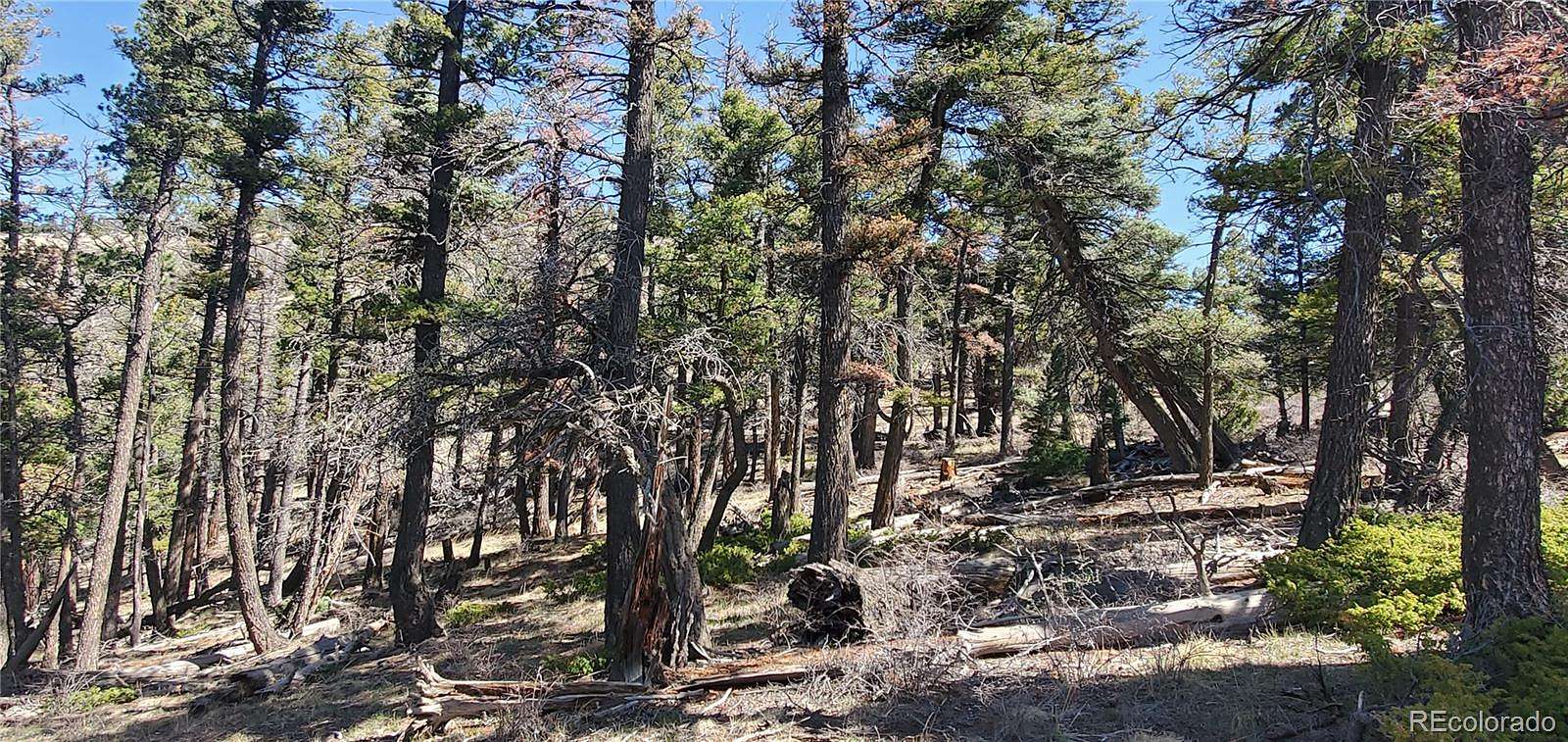 5.7 Acres of Land for Sale in San Luis, Colorado