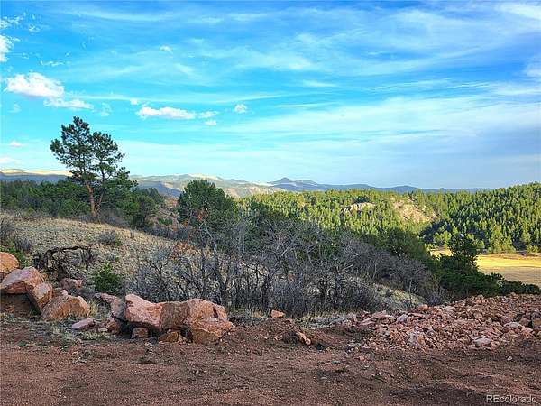 20 Acres of Recreational & Residential Land for Sale in Florissant, Colorado