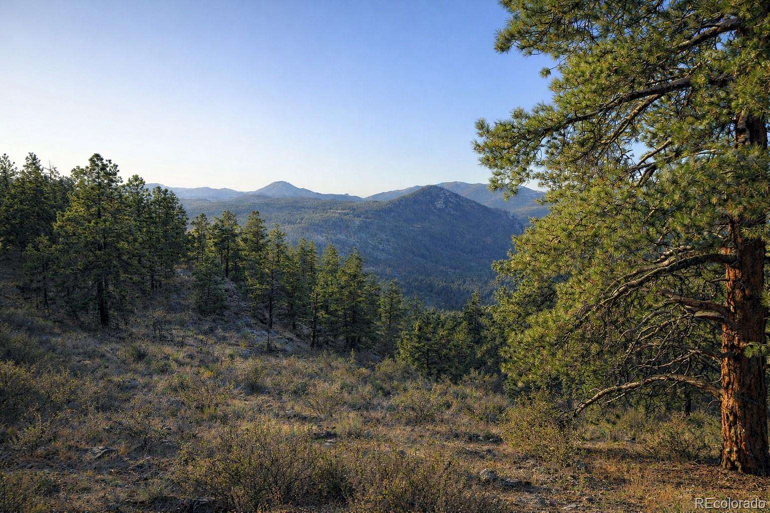 13 Acres of Land for Sale in Bailey, Colorado