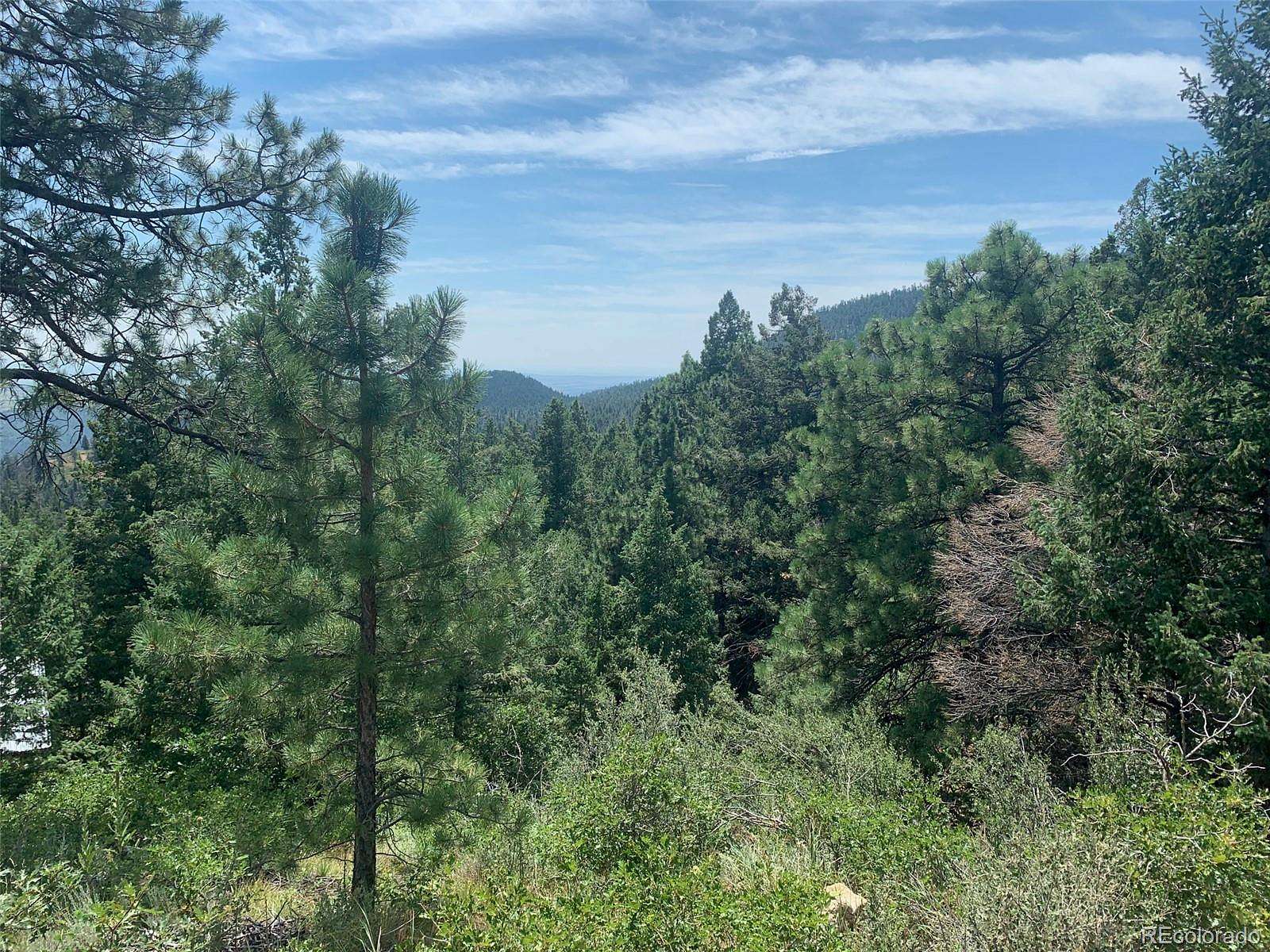 40 Acres of Recreational Land for Sale in Colorado Springs, Colorado