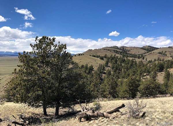 1.36 Acres of Residential Land for Sale in Hartsel, Colorado