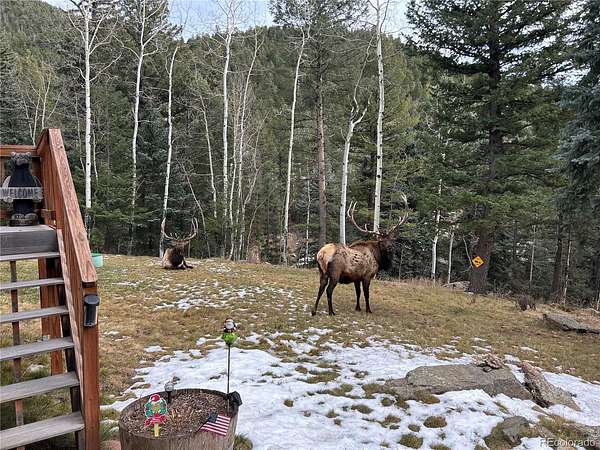 2 Acres of Land with Home for Sale in Evergreen, Colorado