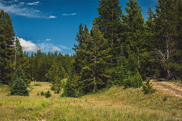 41.3 Acres of Land for Sale in Leadville, Colorado