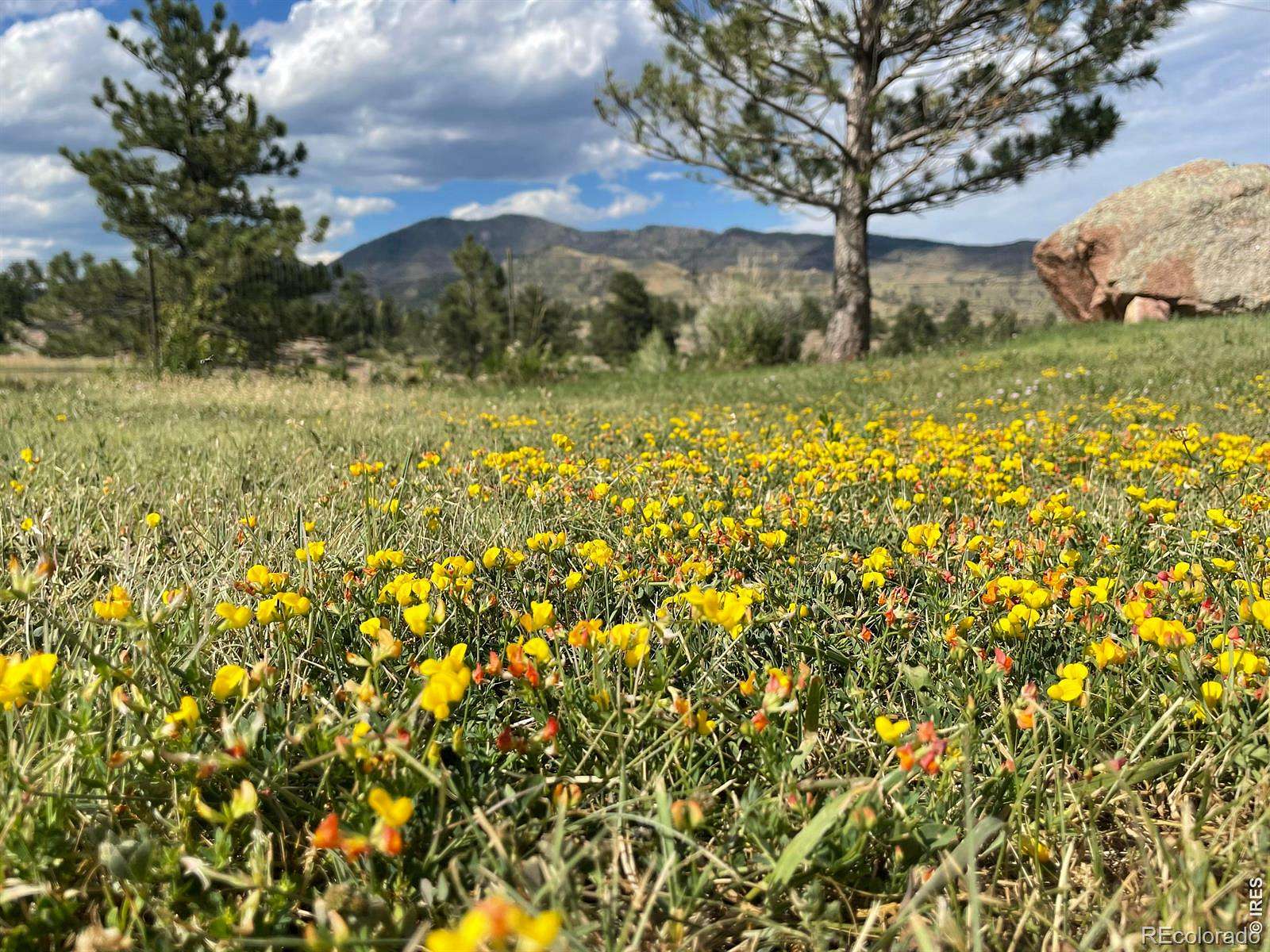 9.72 Acres of Land with Home for Sale in Lyons, Colorado