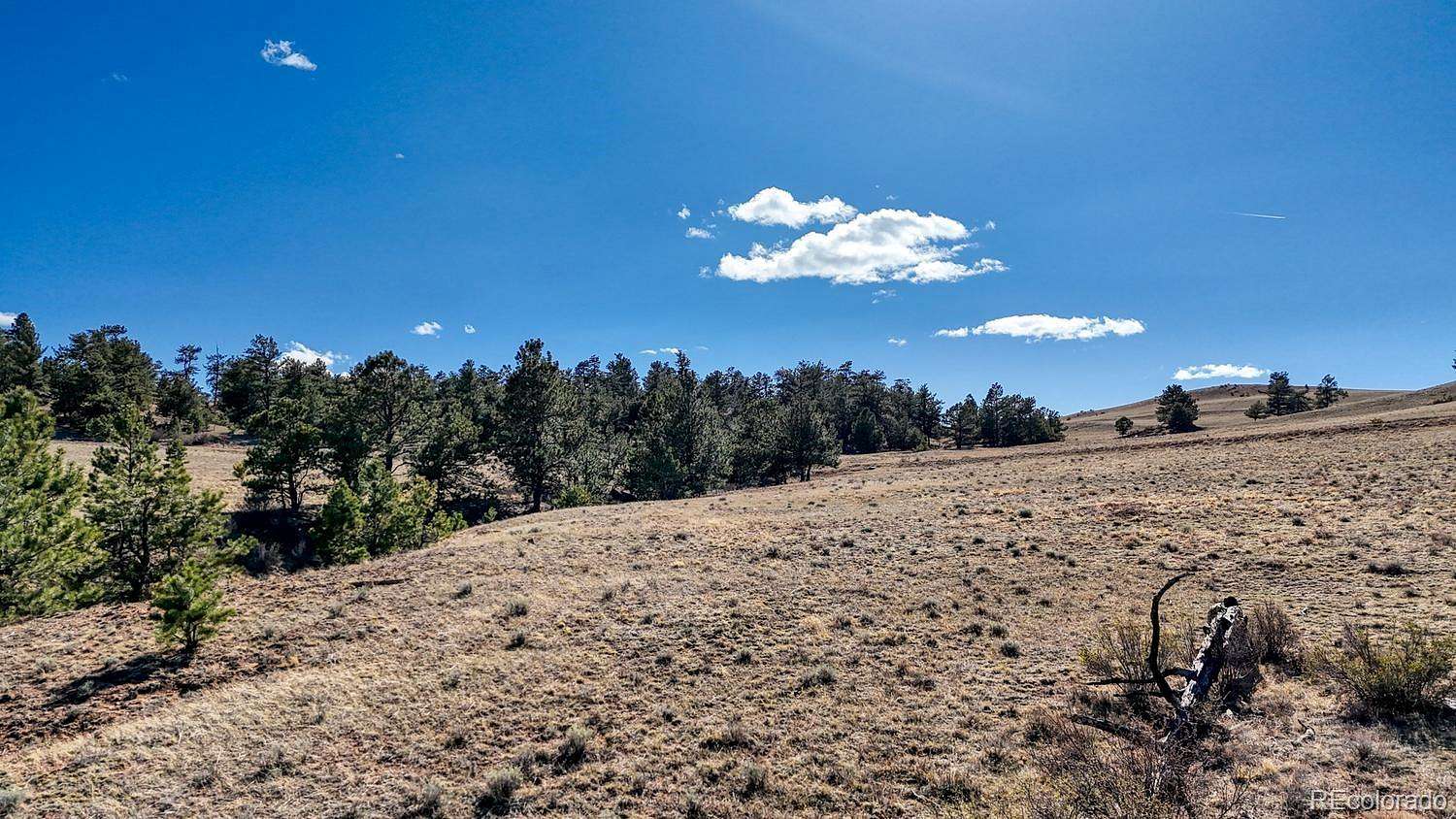 12.6 Acres of Land for Sale in Hartsel, Colorado