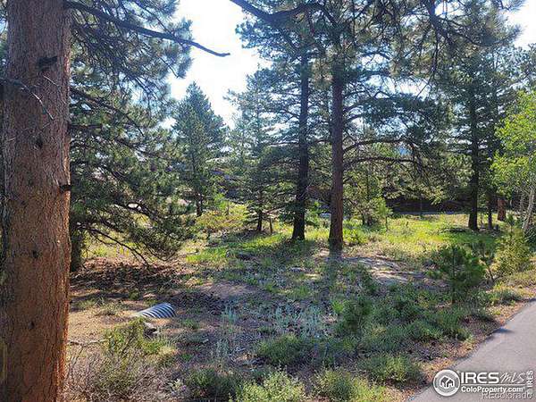1.59 Acres of Residential Land for Sale in Red Feather Lakes, Colorado
