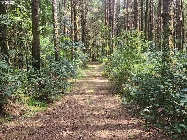 4 Acres of Residential Land for Sale in Port Orford, Oregon
