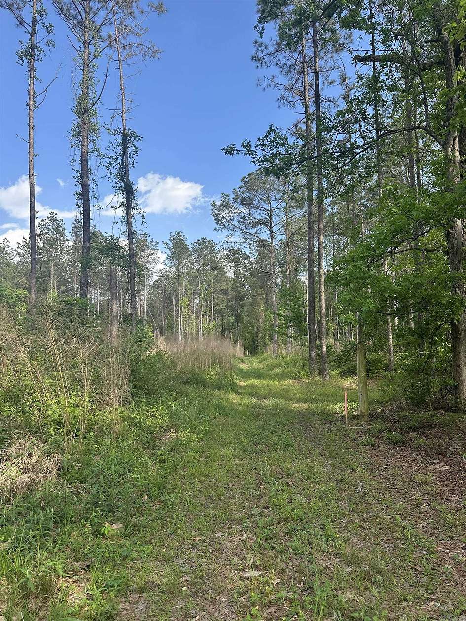 34.5 Acres of Recreational Land for Sale in Malvern, Arkansas