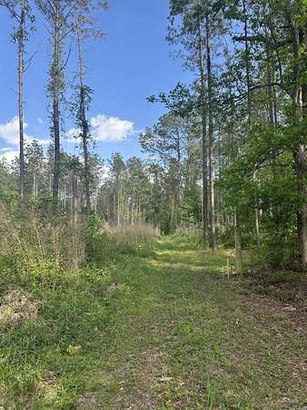 34.5 Acres of Land for Sale in Malvern, Arkansas