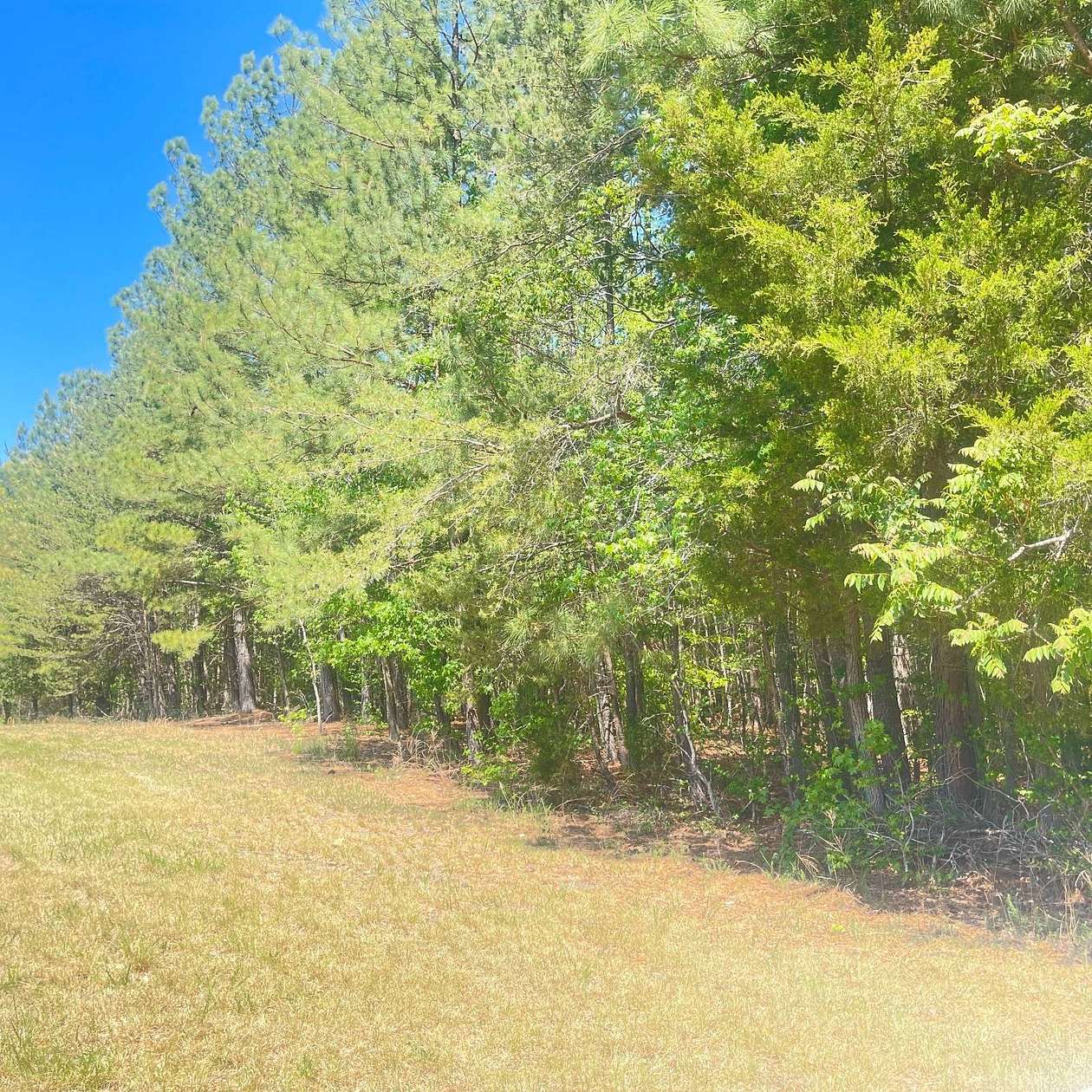55.5 Acres of Agricultural Land for Sale in Reidsville, North Carolina