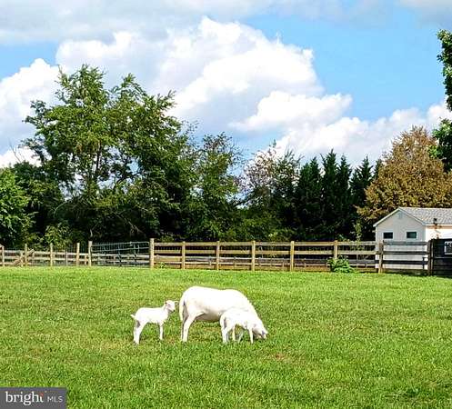 4 Acres of Land with Home for Sale in Quicksburg, Virginia