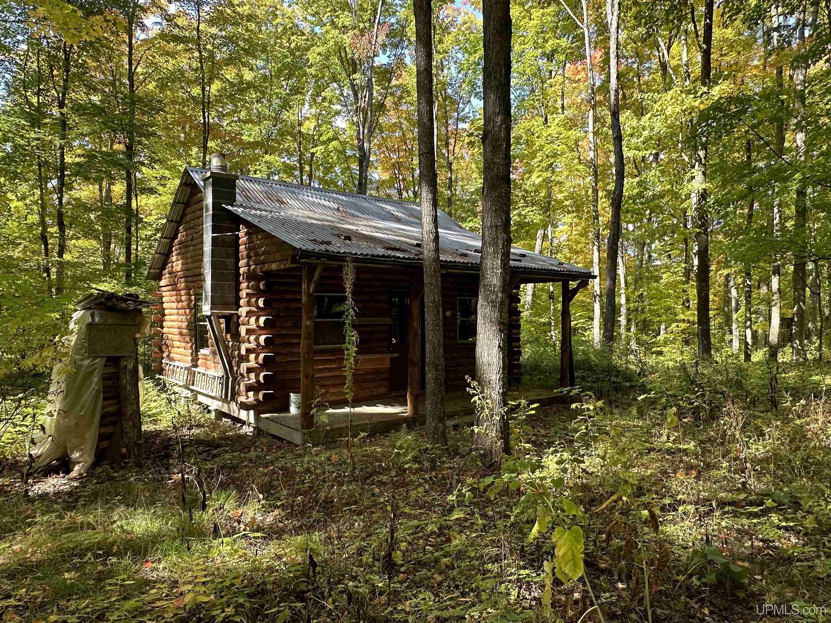 40 Acres of Improved Recreational Land for Sale in Bruce Crossing, Michigan
