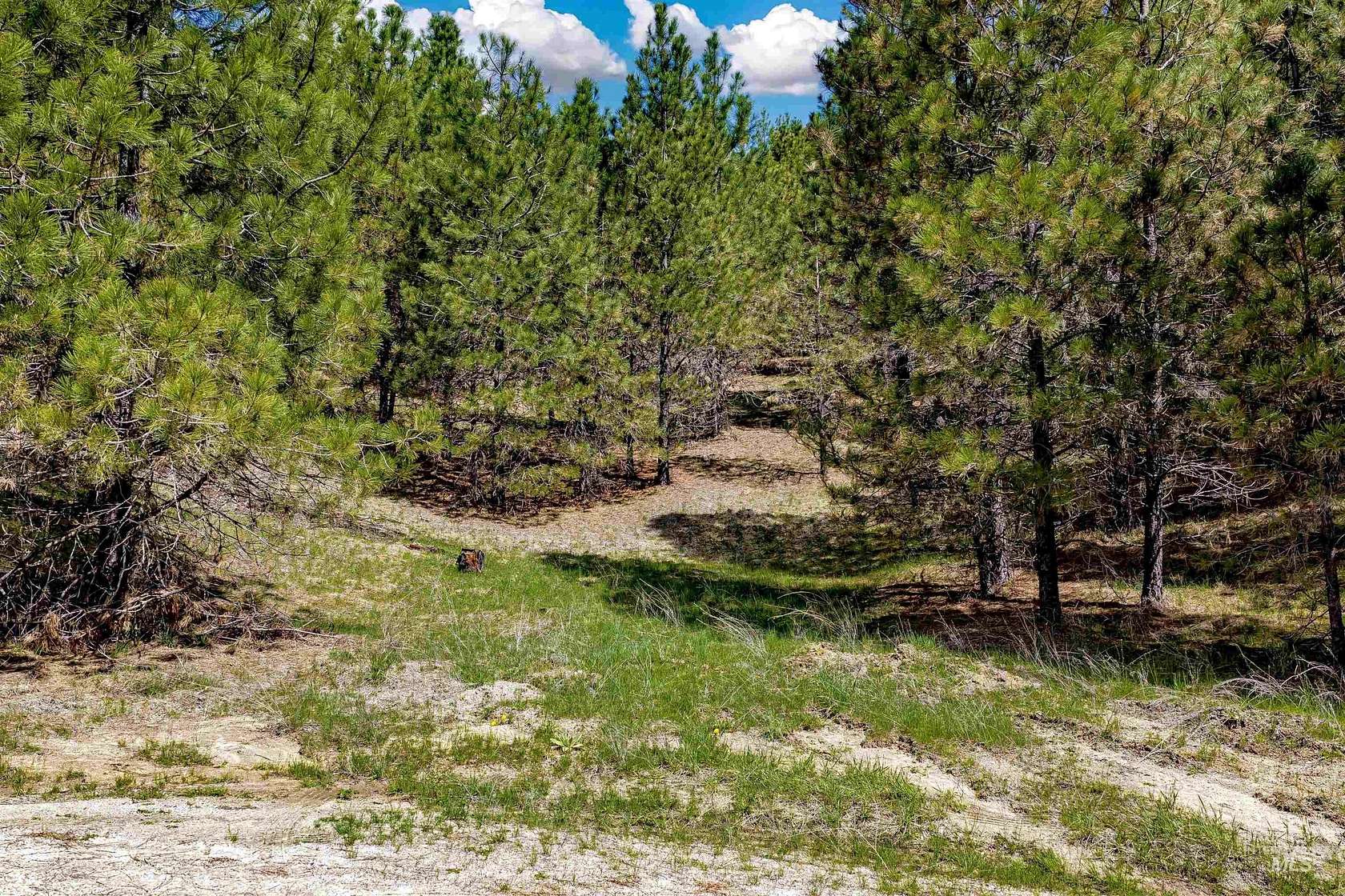 1 Acre of Residential Land for Sale in Boise, Idaho