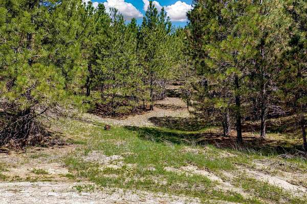 1 Acre of Residential Land for Sale in Boise, Idaho