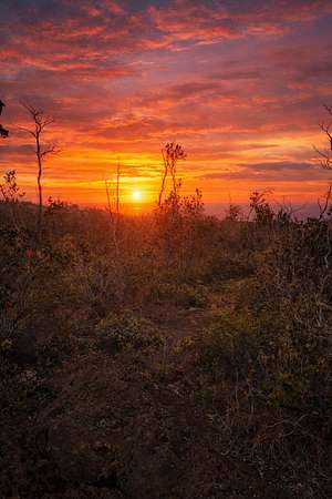 1 Acre of Land for Sale in Hawaiian Ocean View, Hawaii