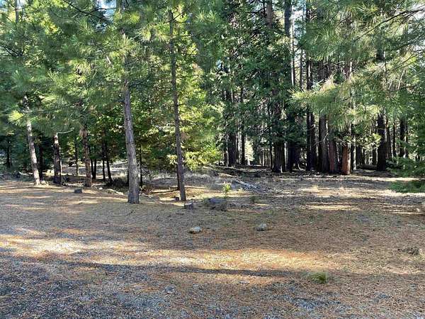 0.51 Acres of Residential Land for Sale in Lake Almanor Country Club, California