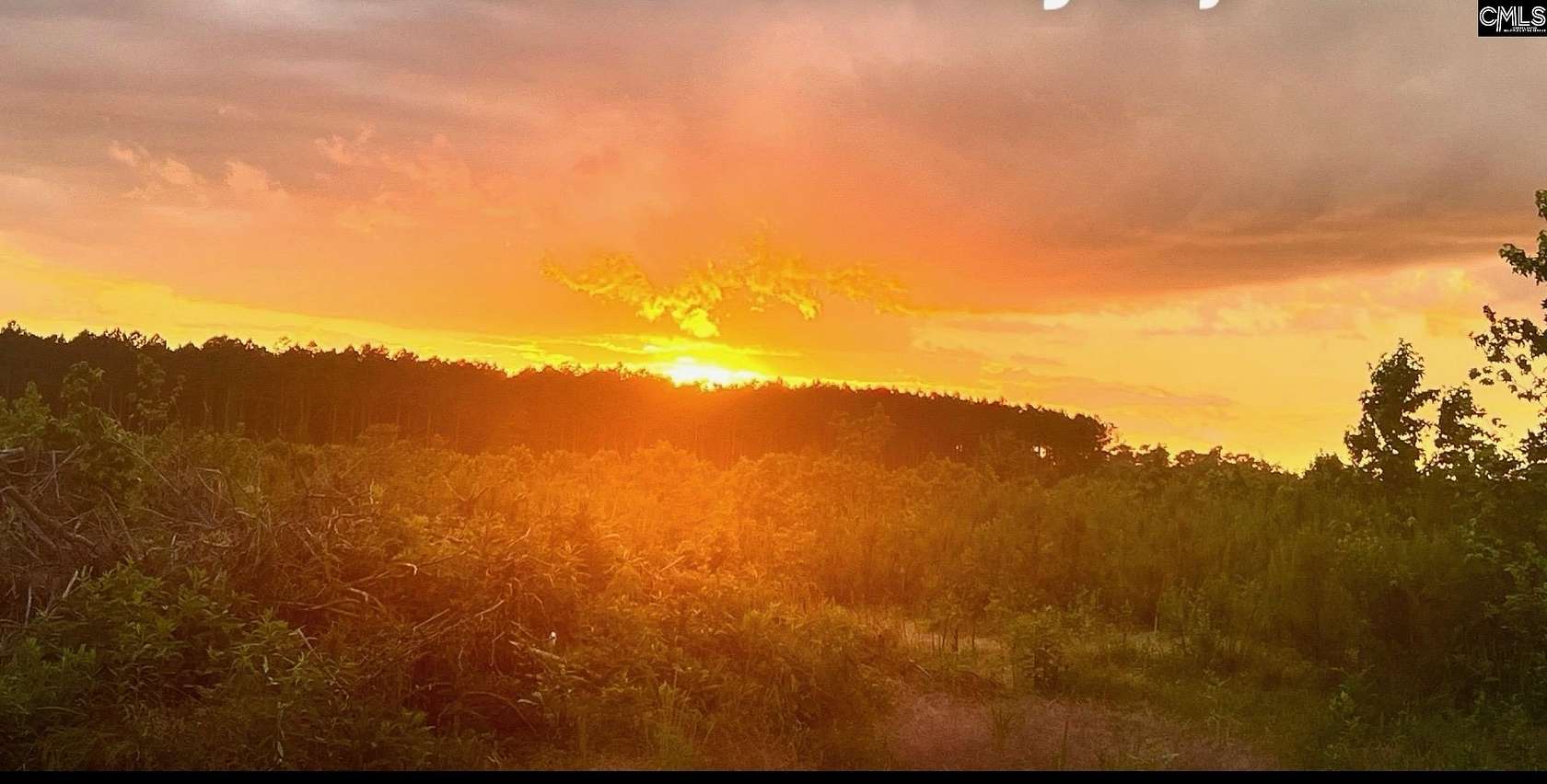 10 Acres of Land for Sale in Saluda, South Carolina