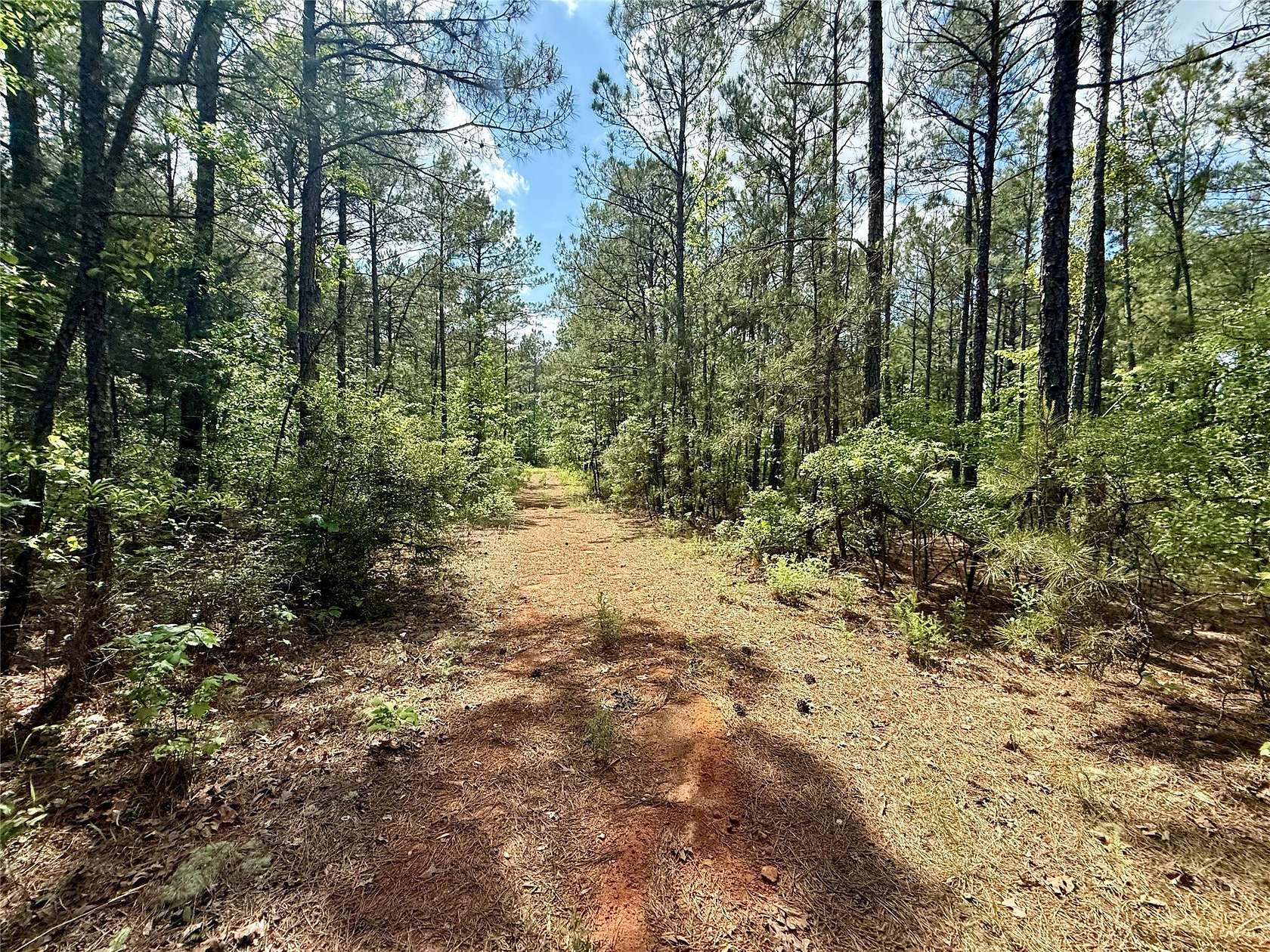 157 Acres of Recreational & Residential Land for Sale in Simsboro, Louisiana
