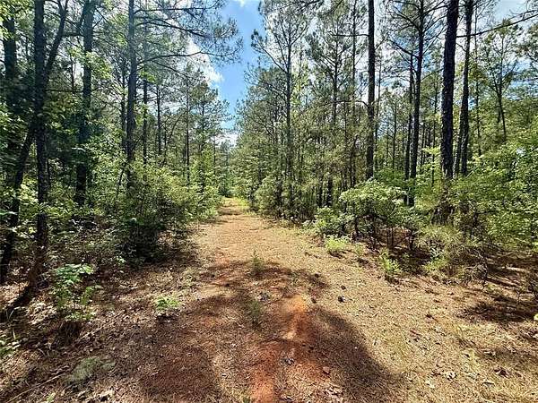 157 Acres of Recreational & Residential Land for Sale in Simsboro, Louisiana