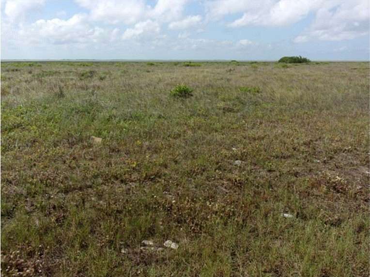 56.6 Acres of Land for Sale in Freeport, Texas