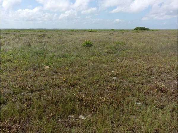56.6 Acres of Land for Sale in Freeport, Texas