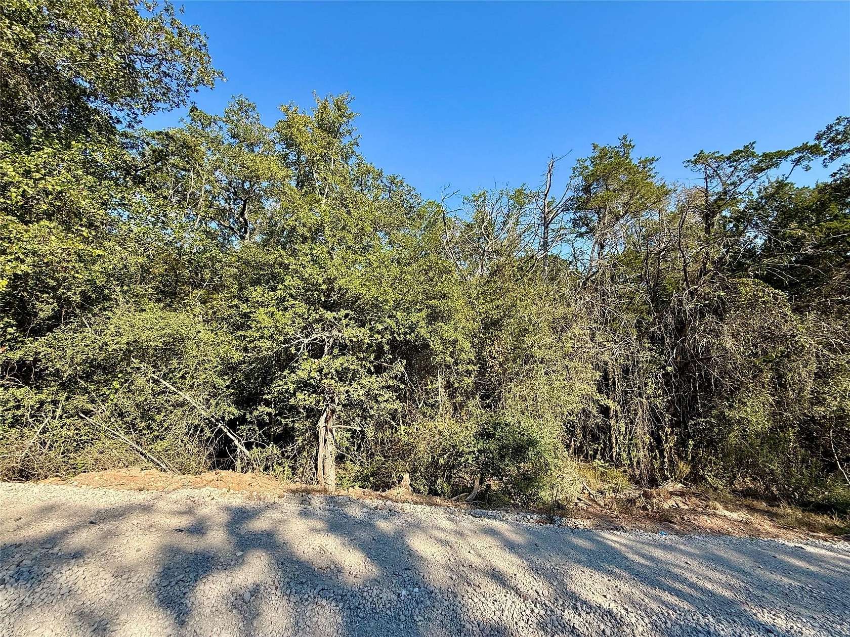 0.27 Acres of Residential Land for Sale in Bastrop, Texas
