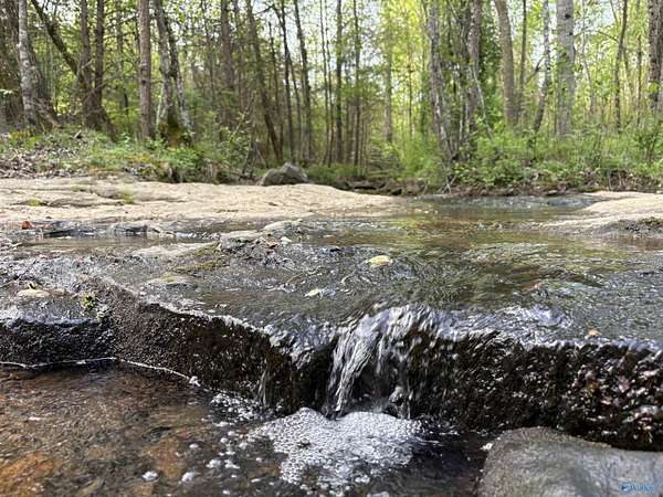 20.9 Acres of Recreational Land for Sale in Pisgah, Alabama