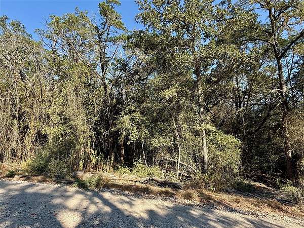 0.26 Acres of Residential Land for Sale in Bastrop, Texas