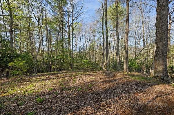 4.66 Acres of Residential Land for Sale in Vilas, North Carolina