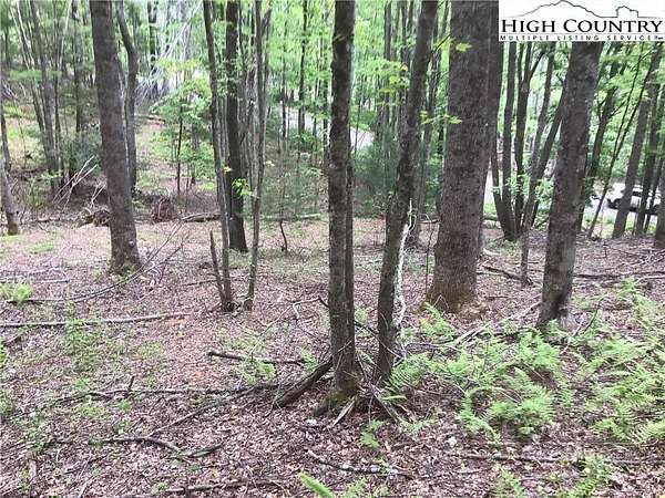 1 Acre of Residential Land for Sale in Laurel Springs, North Carolina