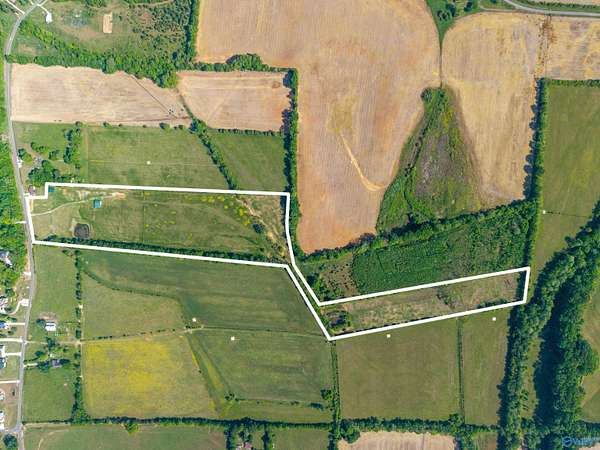 30 Acres of Agricultural & Residential Land for Sale in New Market, Alabama