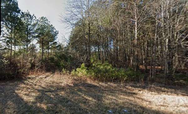 10 Acres of Land for Sale in Aliceville, Alabama