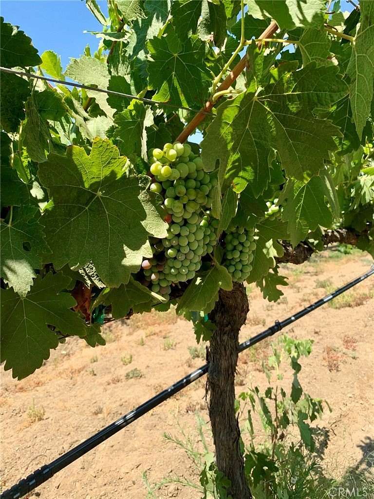 26.1 Acres of Agricultural Land for Sale in Temecula, California