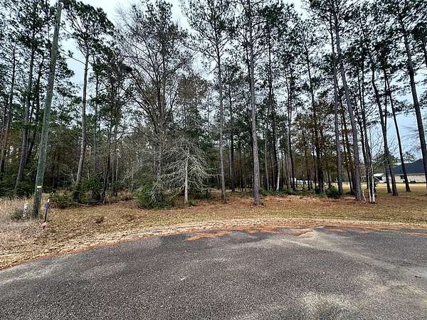 7.46 Acres of Residential Land for Sale in Kountze, Texas