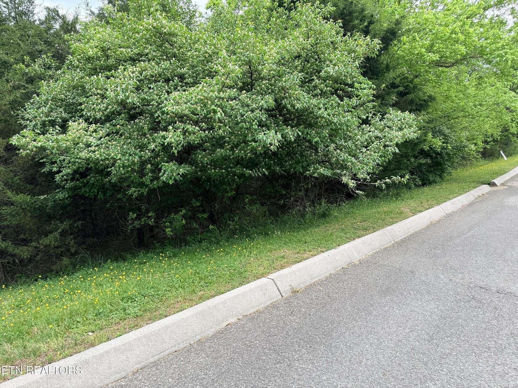 0.49 Acres of Residential Land for Sale in Tazewell, Tennessee