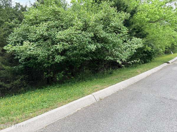 0.49 Acres of Residential Land for Sale in Tazewell, Tennessee