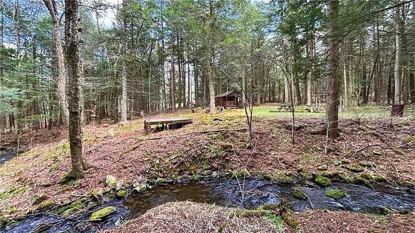 10.3 Acres of Recreational Land for Sale in Jefferson, New York