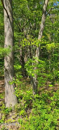 13.1 Acres of Land for Sale in Hannacroix, New York